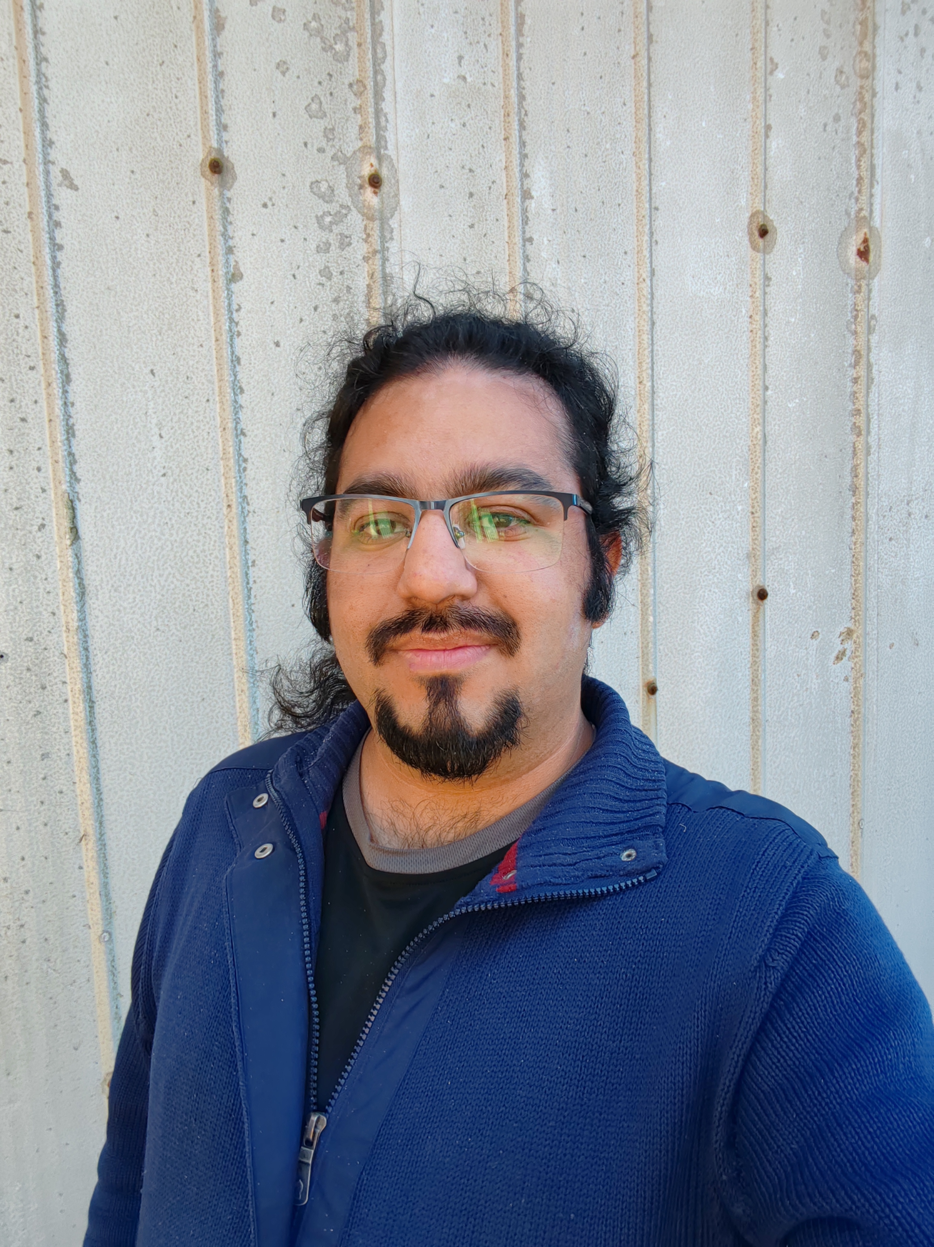 Francisco Vergara Vallejos